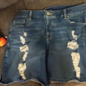 Blue Jean Shorts Lane Bryant